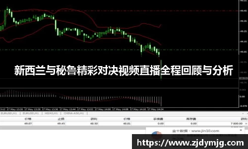 三亿体育官网入口